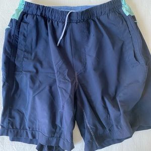 Birddogs Shorts - Medium, Classic Length